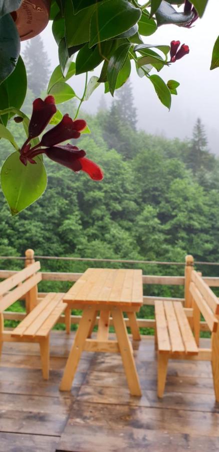 Serinyer Dağ Evi Ayder Yaylasi Exterior foto