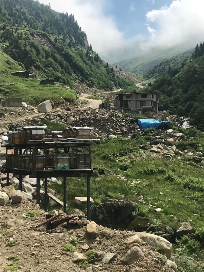 Serinyer Dağ Evi Ayder Yaylasi Exterior foto